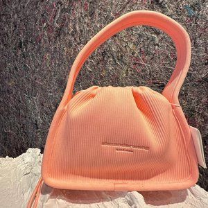 Alexander Wang fashion bag